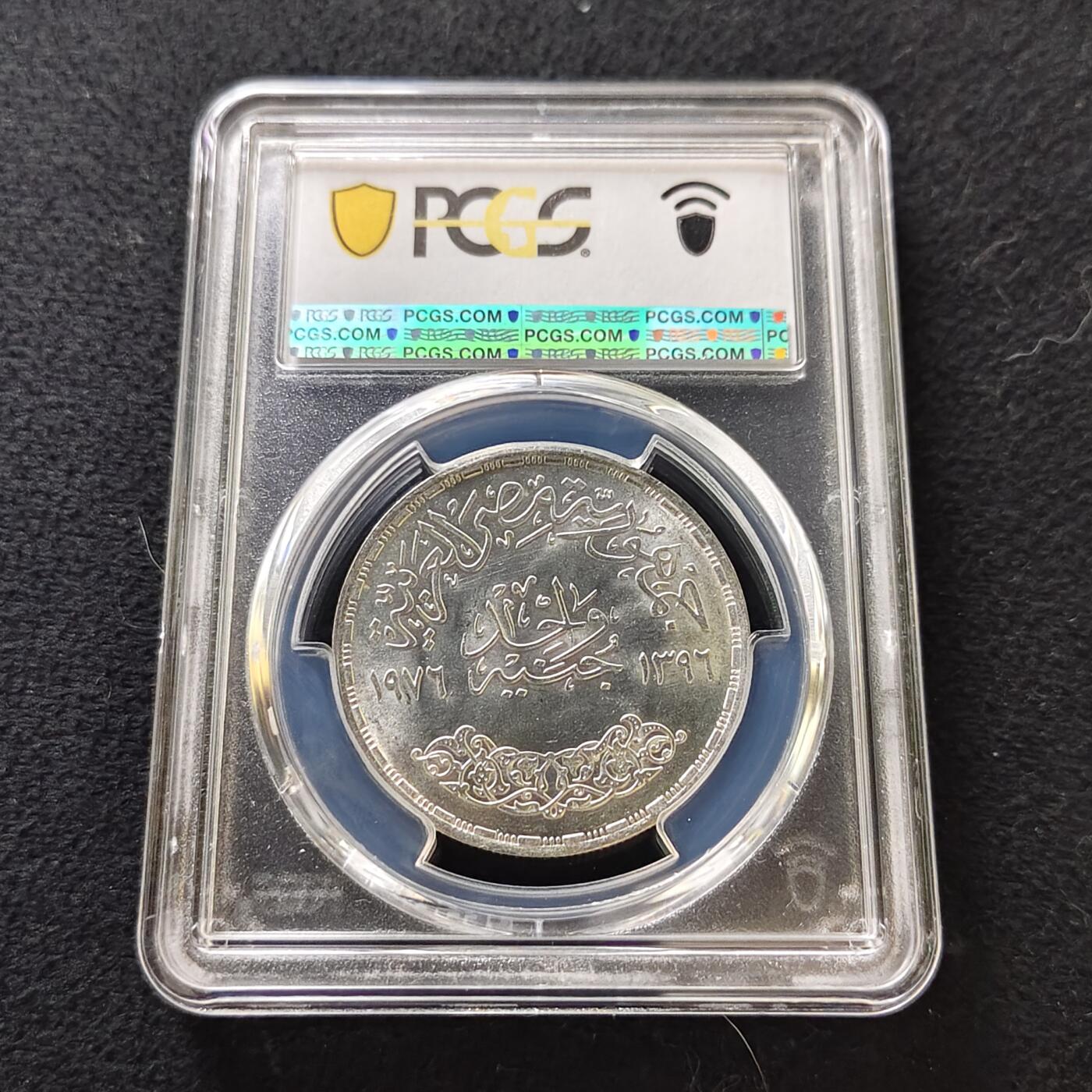 【全场包邮】纯粹捡漏拍487场（免费代拍第24场）