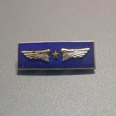 【第叁場】近代勋奖章徽章服饰杂项专场 - 民国空军少将 铜质珐琅彩资历章—总司令部颁