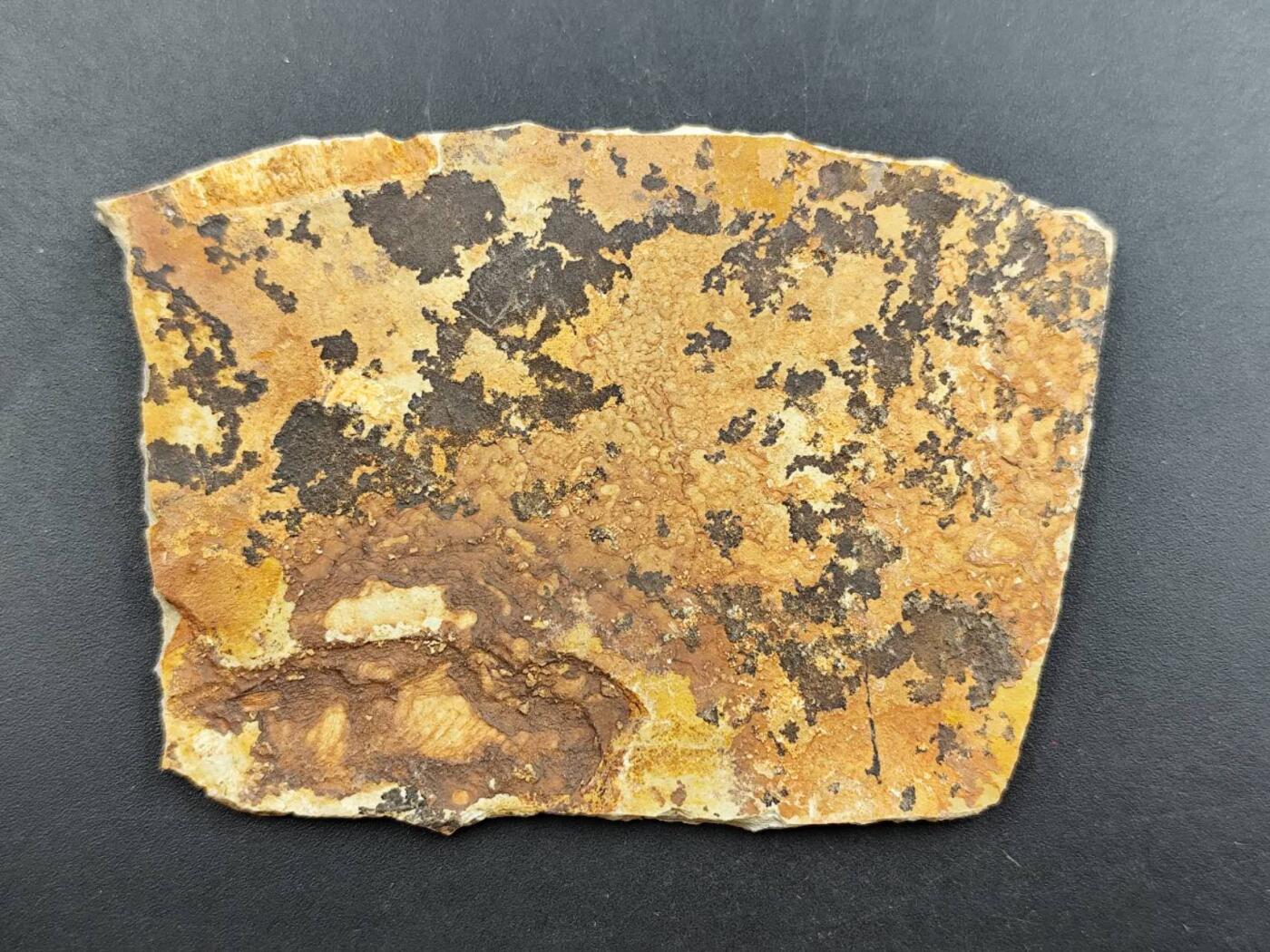 12月13日徽章钱币专场