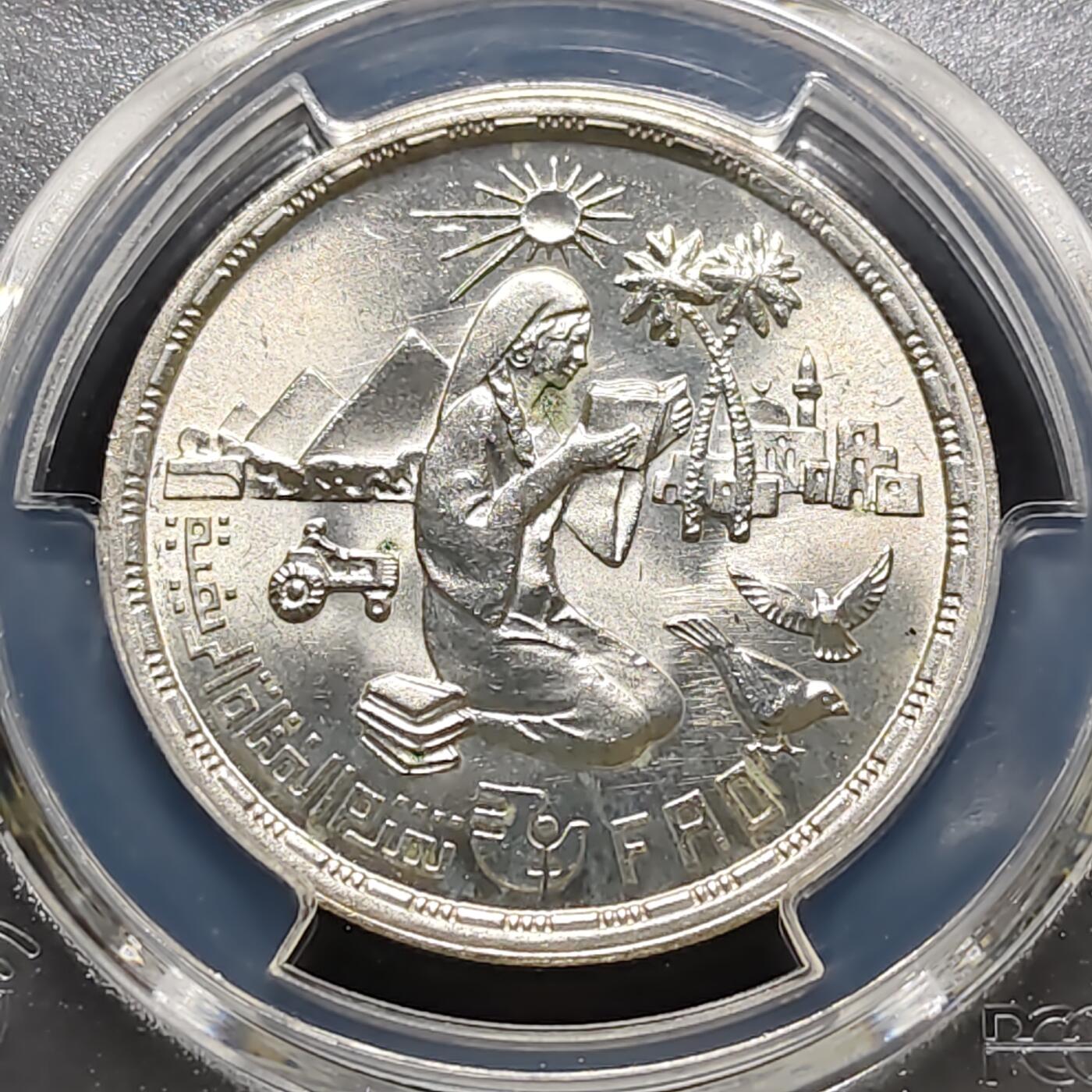 【全场包邮】纯粹捡漏拍487场（免费代拍第24场）