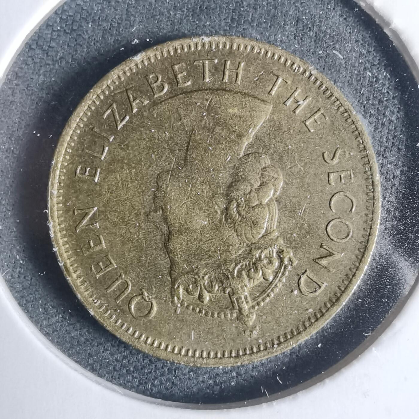 沼泽如烟--第933场 香港1980年一毫特年