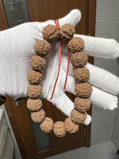 零元拍：W1-9 原生态 跳跳龙 金刚 手持 约17.5 - 零元拍：W1-9 原生态 跳跳龙 金刚 手持 约17.5