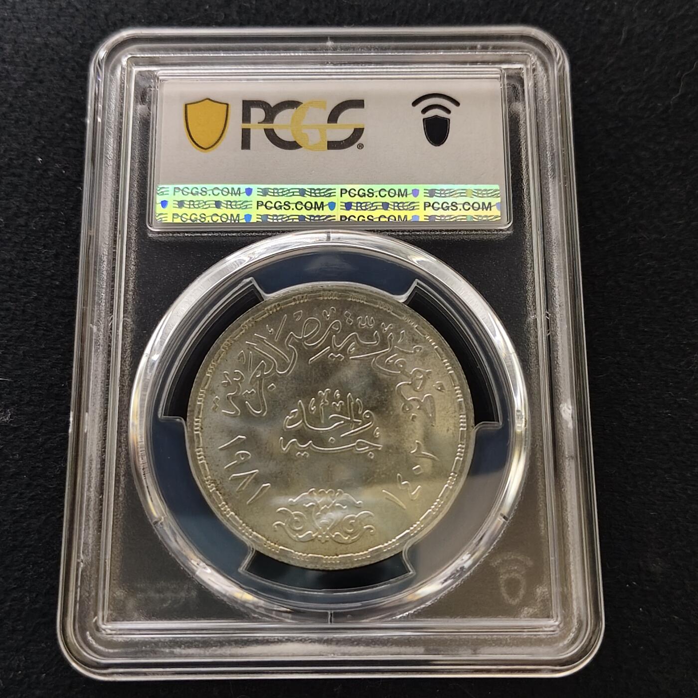 【全场包邮】纯粹捡漏拍487场（免费代拍第24场） 【收藏级·亚军分】埃及1981年1镑工业部25周年纪念银币-PCGS MS66（更高分仅1枚）