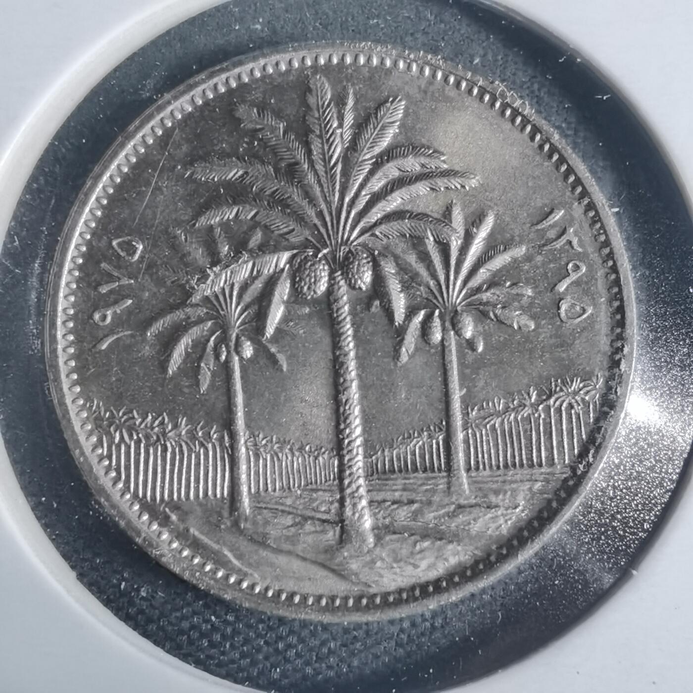 沼泽如烟--第933场 伊拉克