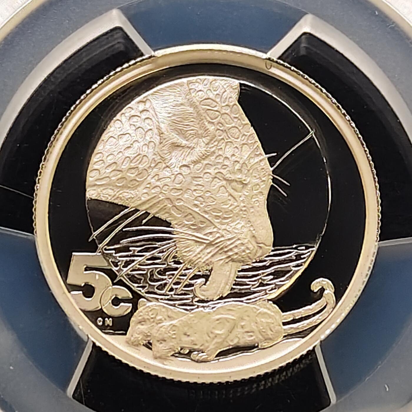 【全场包邮】纯粹捡漏拍487场（免费代拍第24场） 【收藏级·冠军分·稀少】南非2004年5分非洲五霸系列豹精制纪念银币-量约2000-PCGS PR69 DCAM