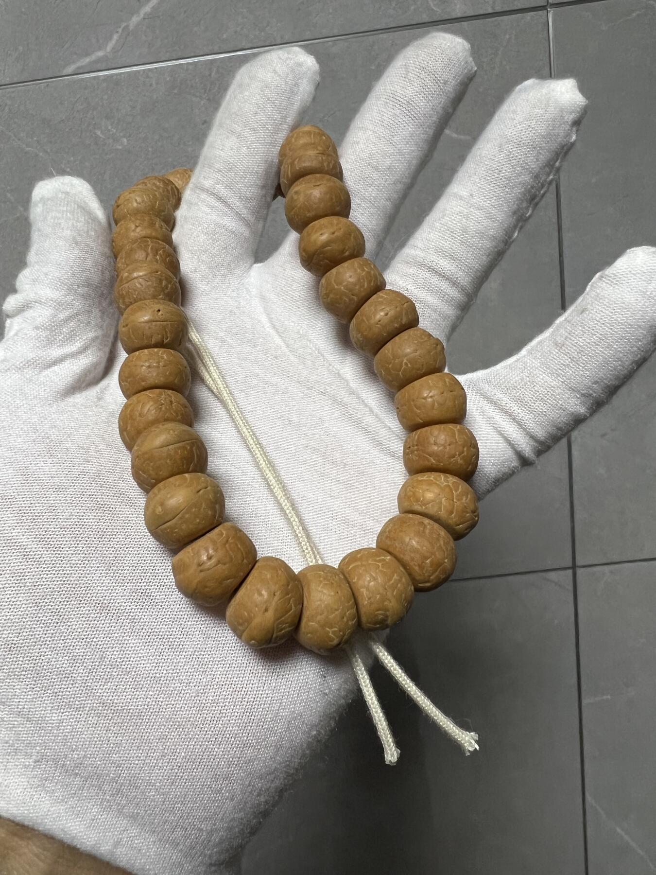 零元拍：W1-8 精工凤眼大肠 14.5 手持