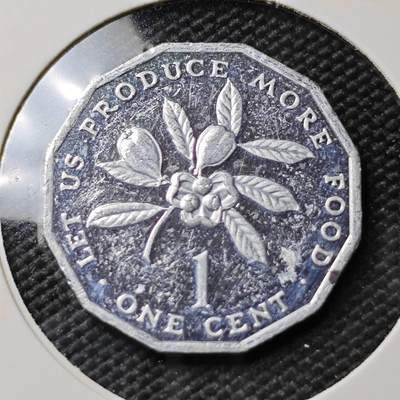 KK钱币收藏小铺 第380期  2月预留时间 周末发货 -  1981牙买加1分精制币