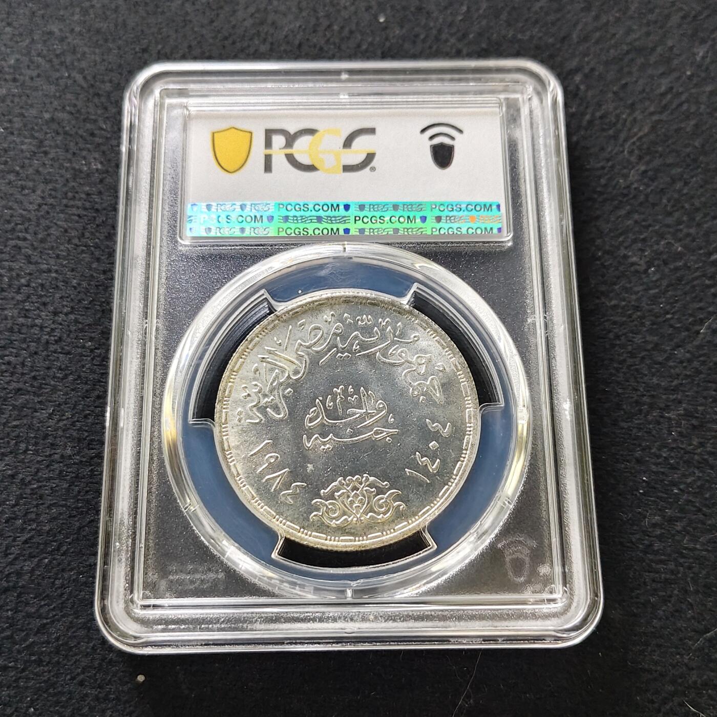 【全场包邮】纯粹捡漏拍487场（免费代拍第24场）