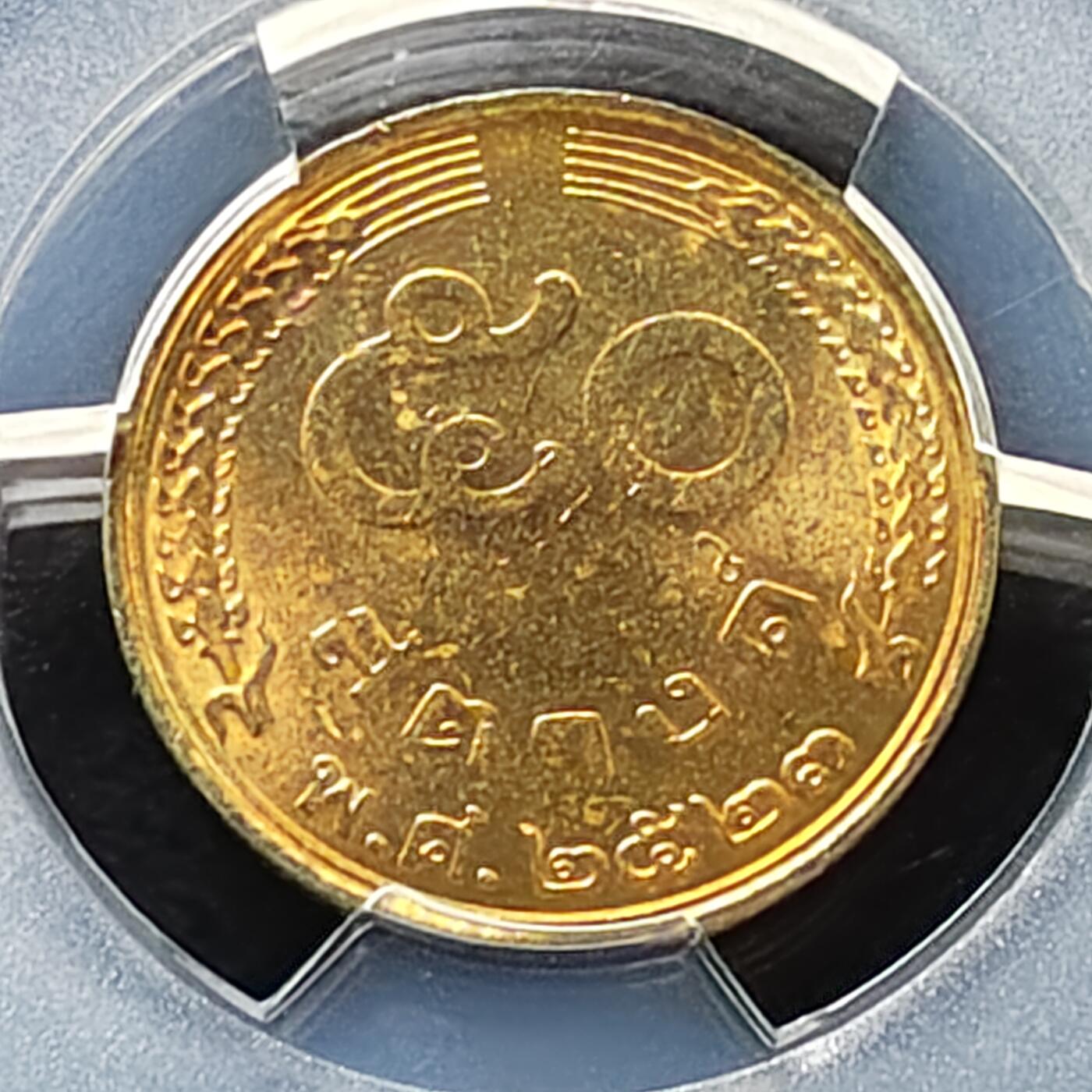 【全场包邮】纯粹捡漏拍487场（免费代拍第24场）