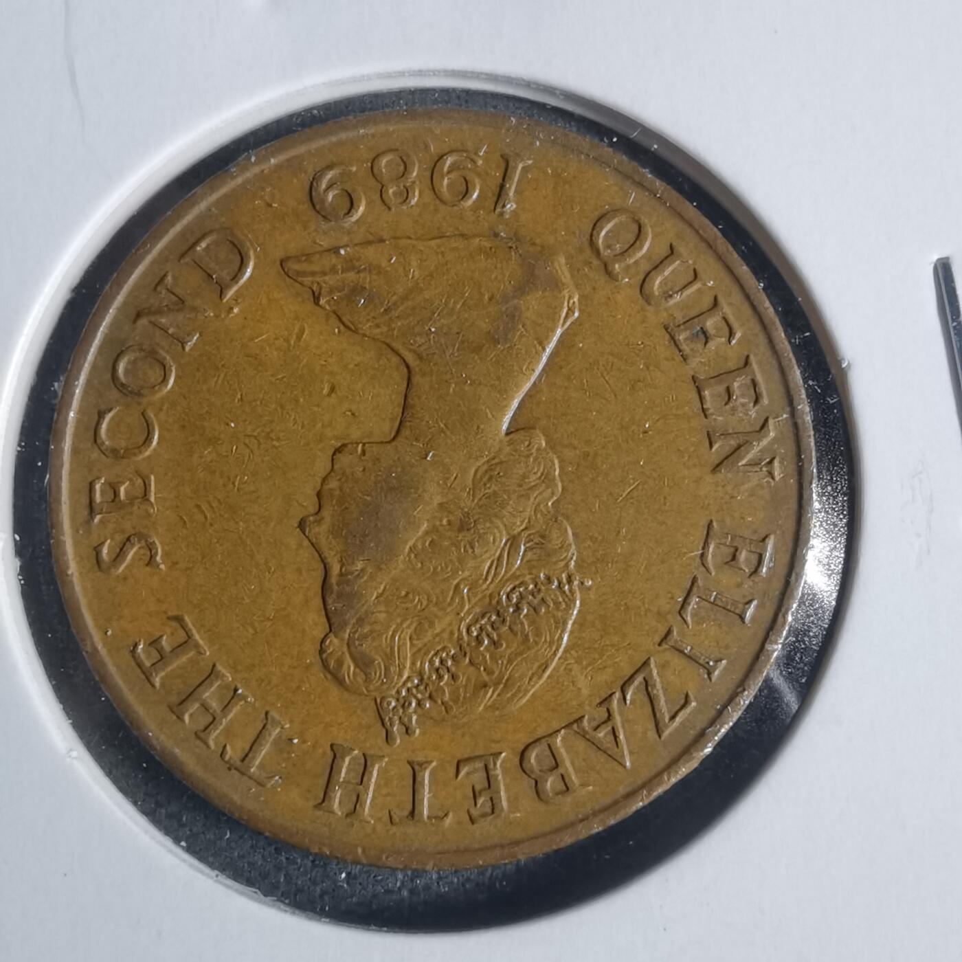 沼泽如烟--第933场 泽西1989年2便士