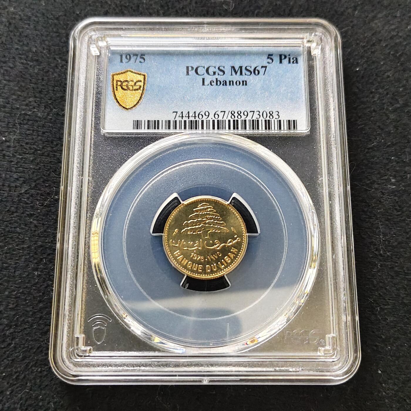 【全场包邮】纯粹捡漏拍487场（免费代拍第24场）