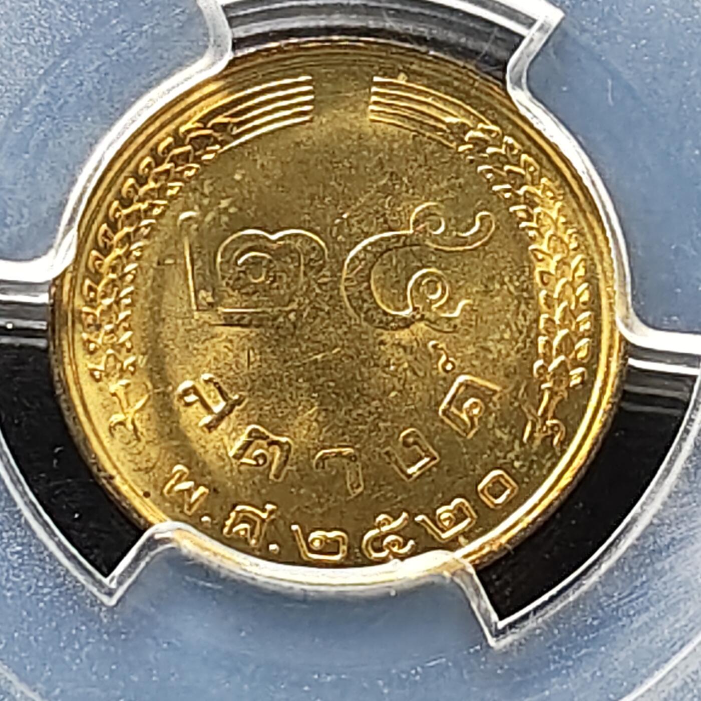 【全场包邮】纯粹捡漏拍487场（免费代拍第24场）