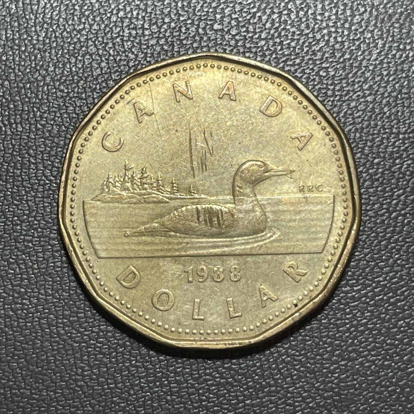 回流1222 加拿大1988年1加元11边形铜币 潜鸟