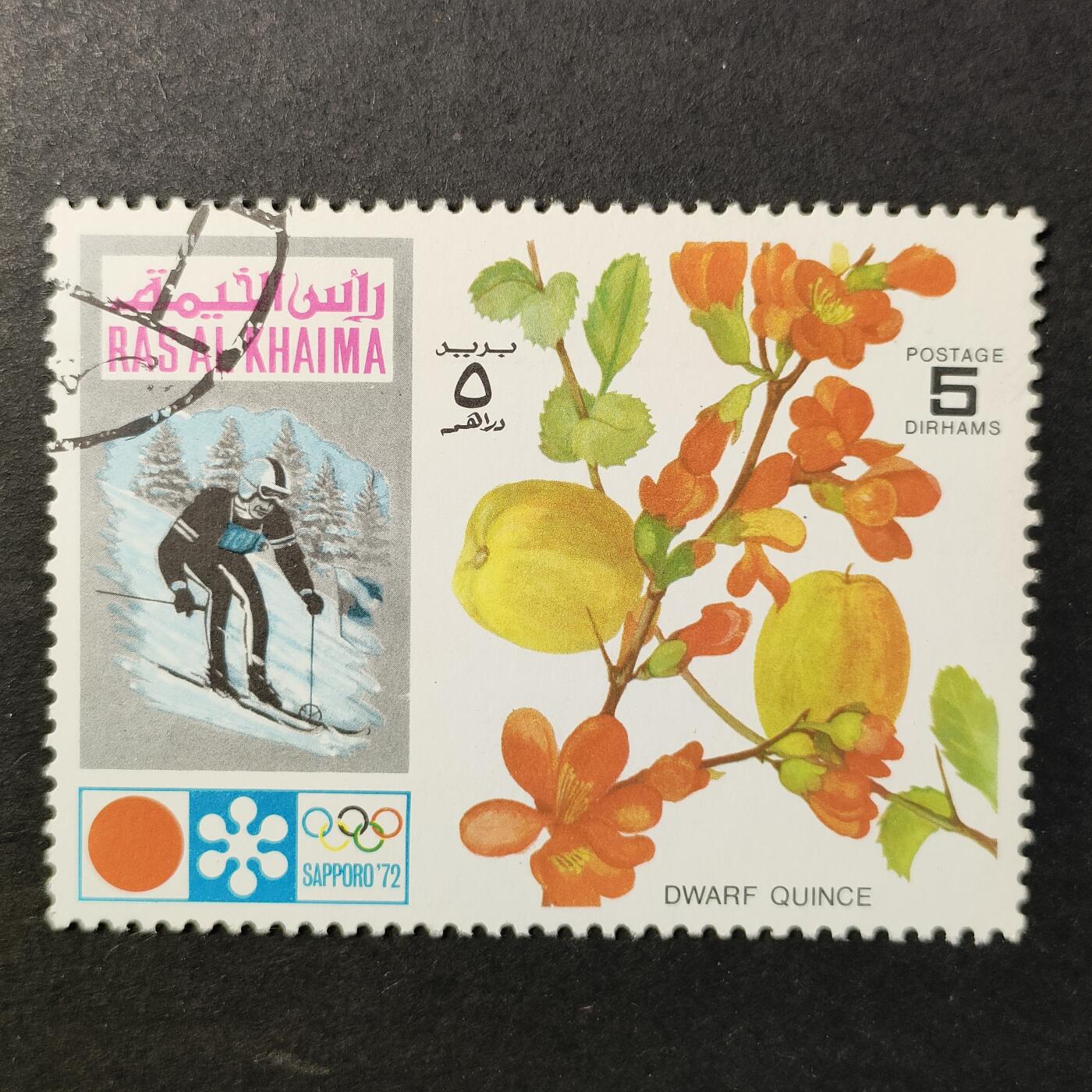 嘉禾收藏    【第415期】            无佣金、可寄存、满30元包邮 邮票一枚