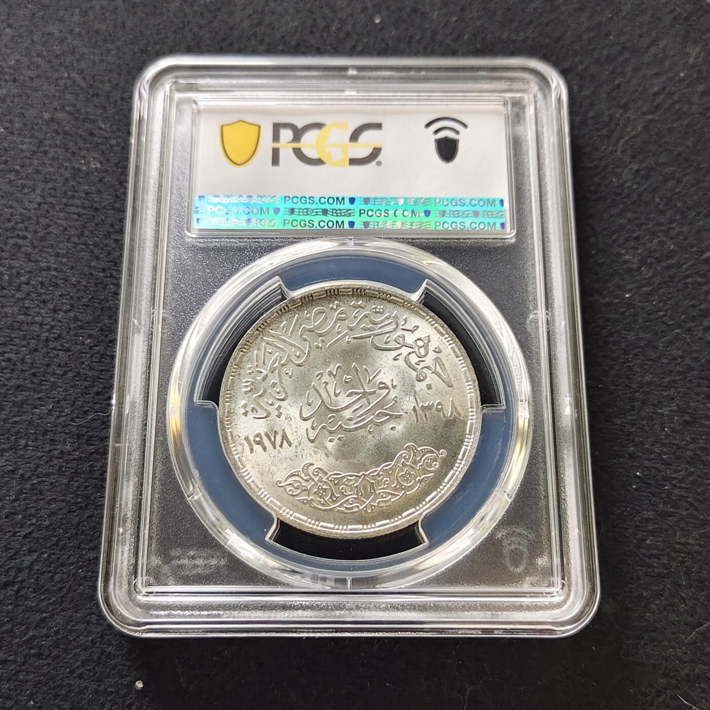 【全场包邮】纯粹捡漏拍487场（免费代拍第24场）