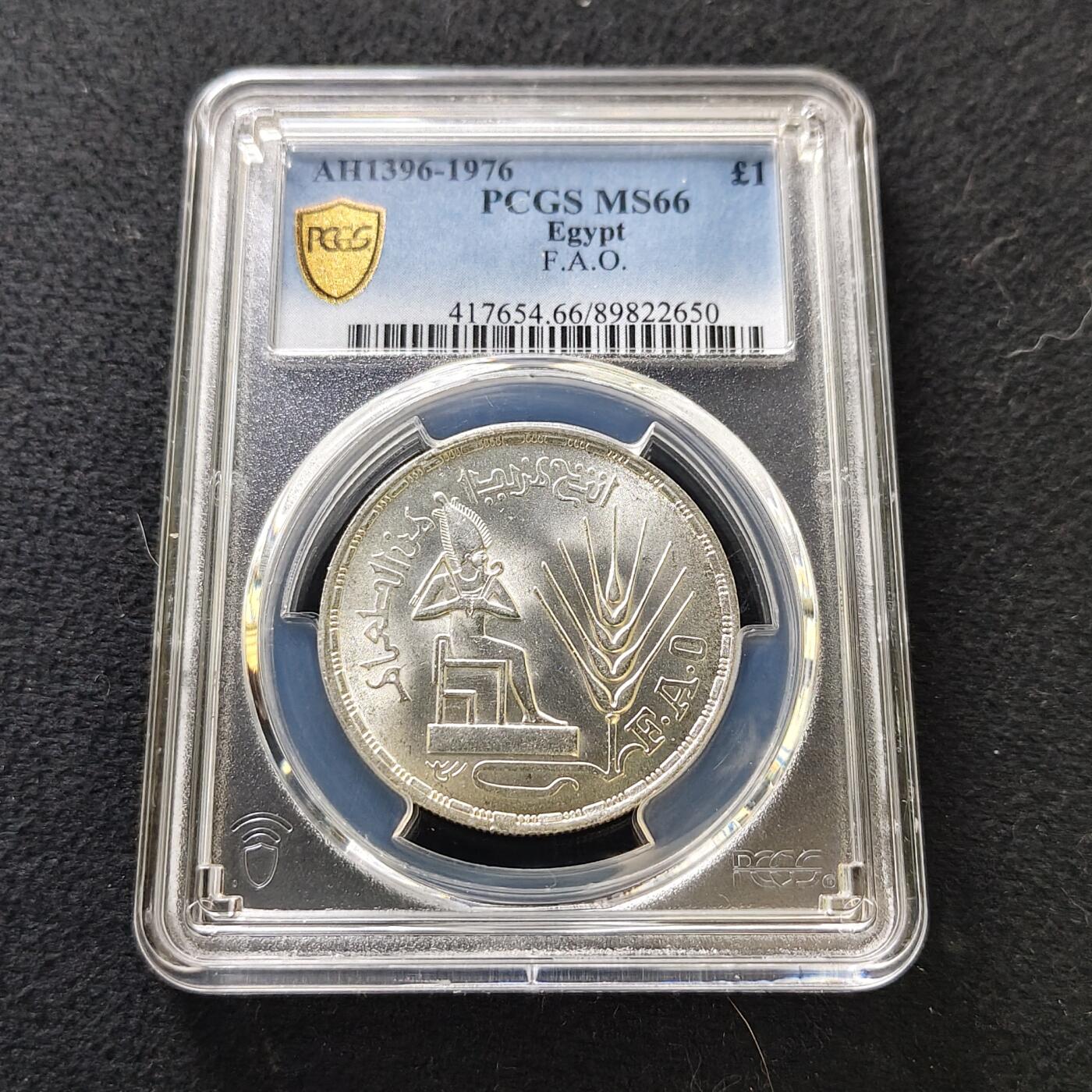 【全场包邮】纯粹捡漏拍487场（免费代拍第24场）