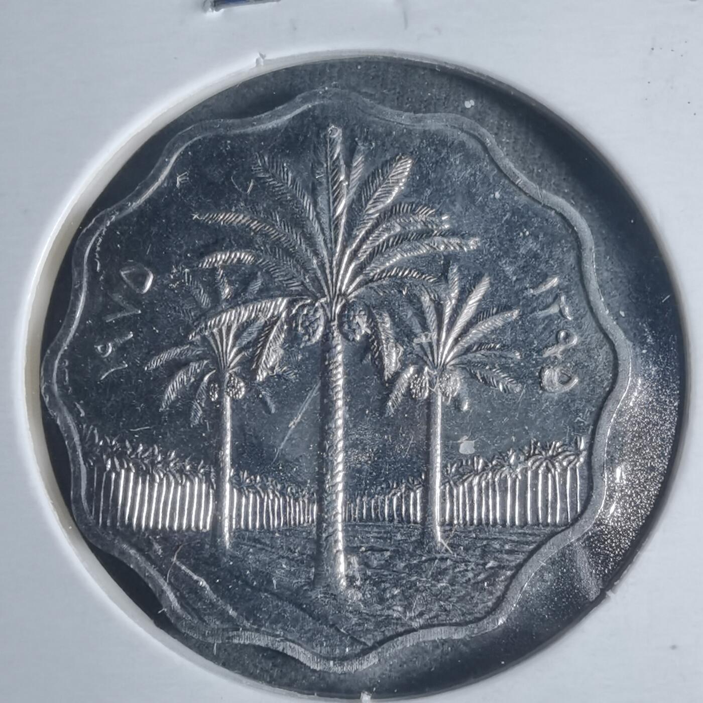 沼泽如烟--第933场 伊拉克