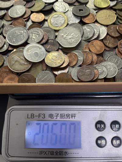 回流1215 - 外币2060克（无日本币）