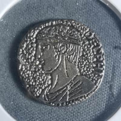 沼泽如烟--第933场 - 不认识