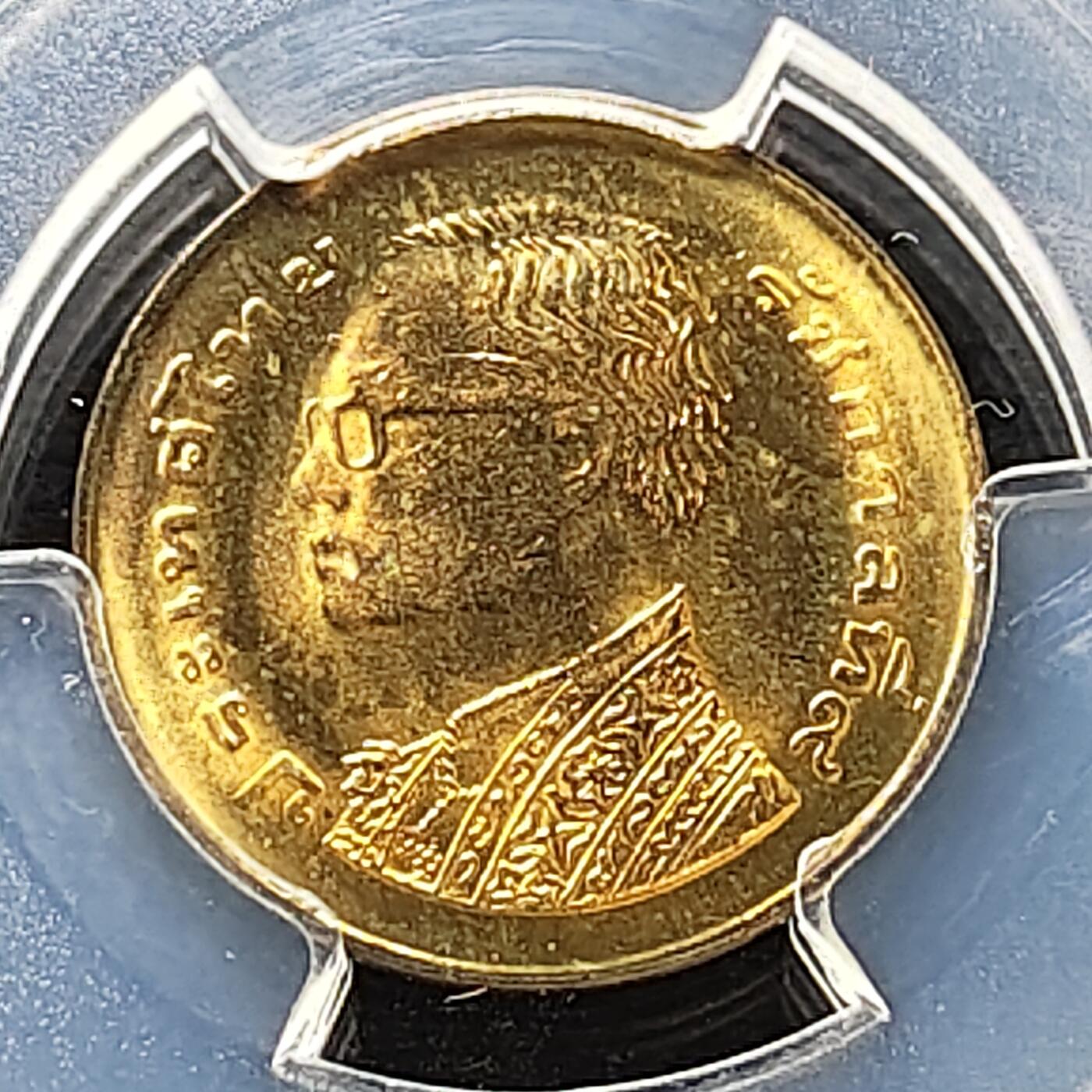 【全场包邮】纯粹捡漏拍487场（免费代拍第24场）