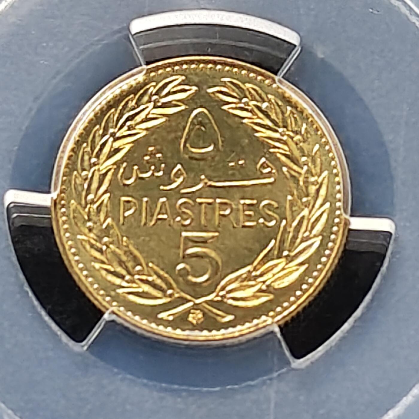 【全场包邮】纯粹捡漏拍487场（免费代拍第24场）