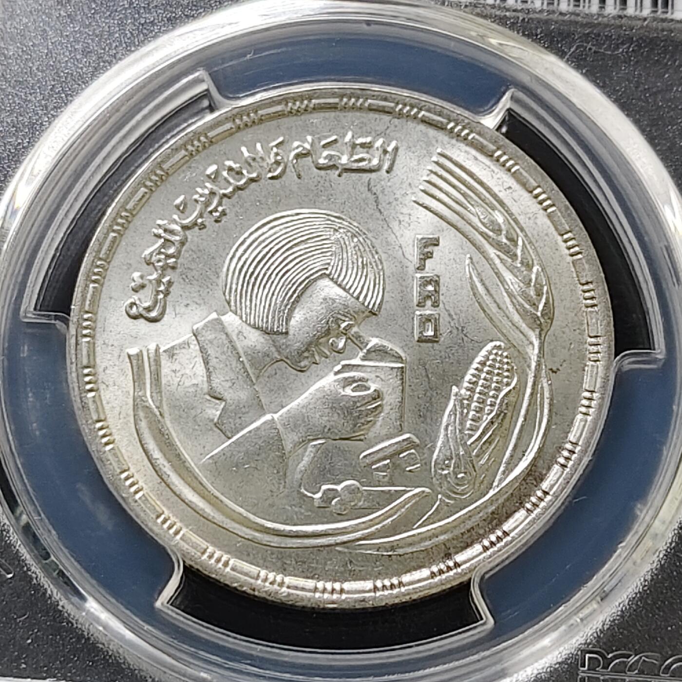 【全场包邮】纯粹捡漏拍487场（免费代拍第24场）