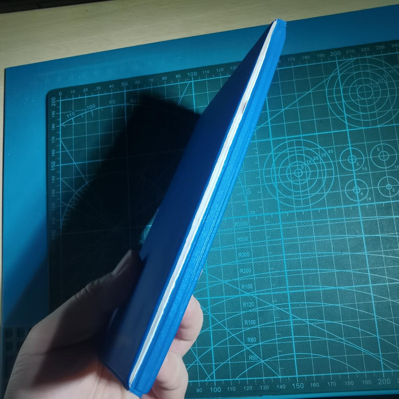 沼泽如烟--第933场 菲律宾纪念册有裂