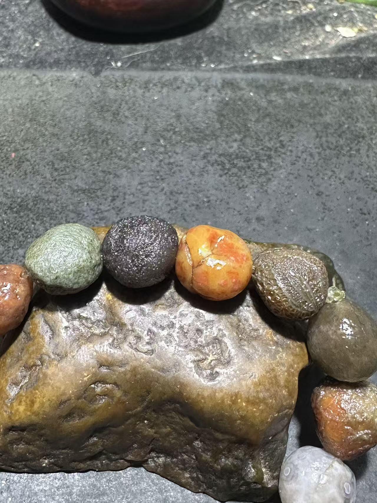 精美阿拉善多宝筋脉石原石手串一条，