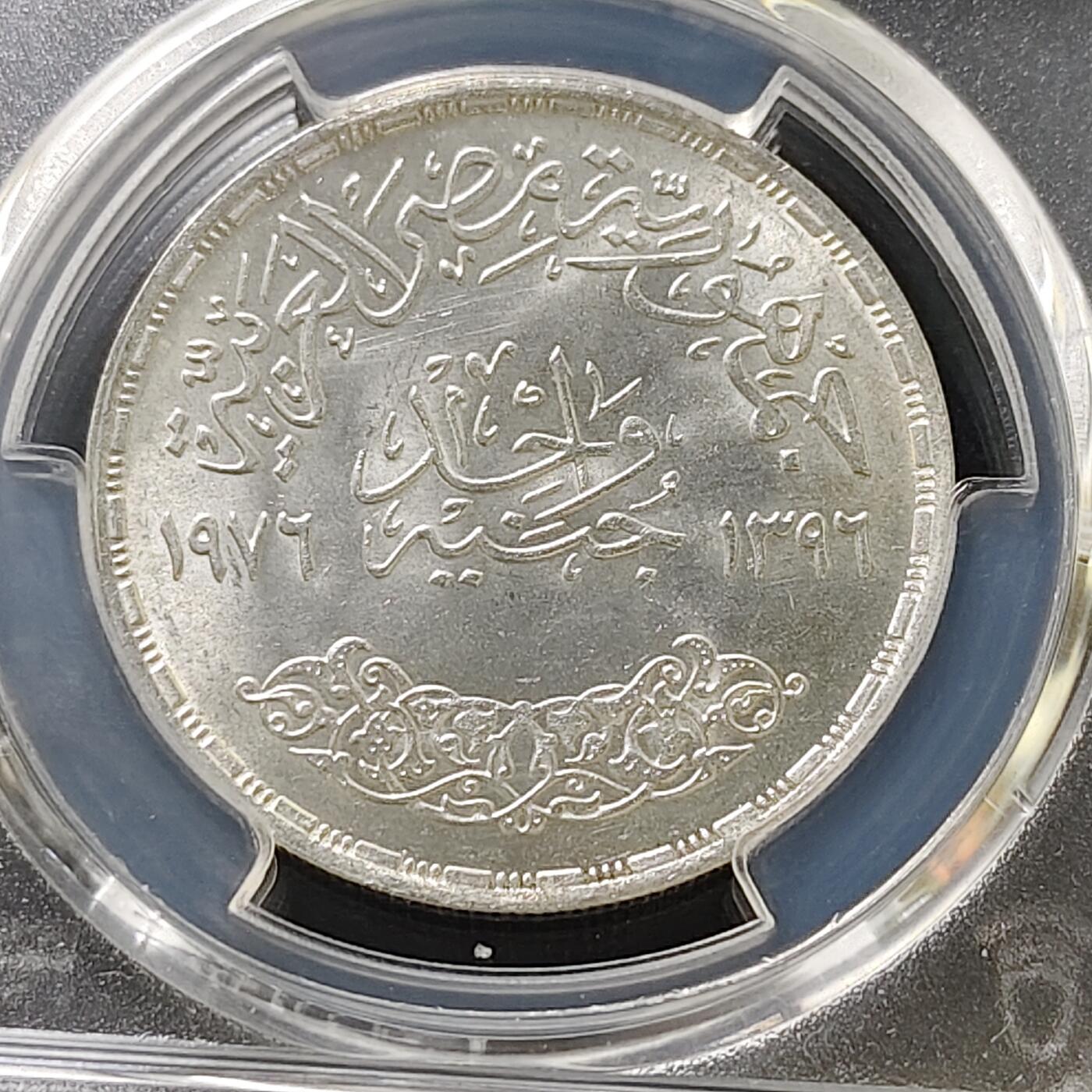 【全场包邮】纯粹捡漏拍487场（免费代拍第24场）