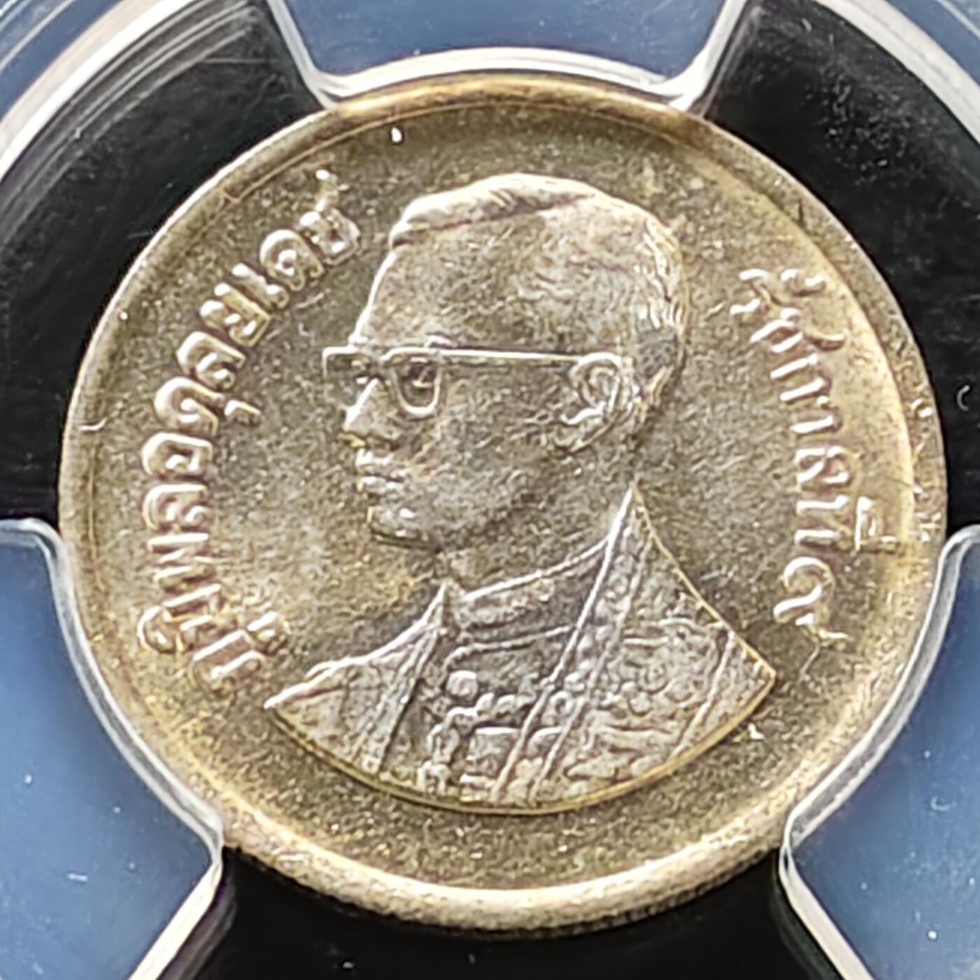 【全场包邮】纯粹捡漏拍487场（免费代拍第24场）