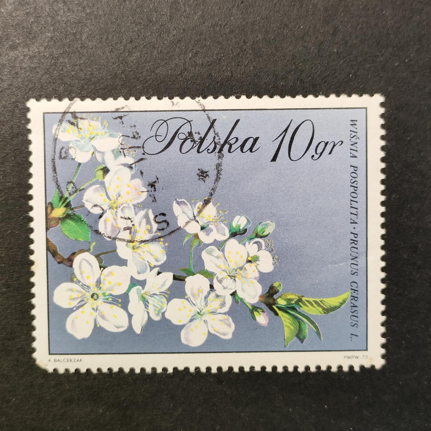 嘉禾收藏    【第415期】            无佣金、可寄存、满30元包邮 邮票一枚