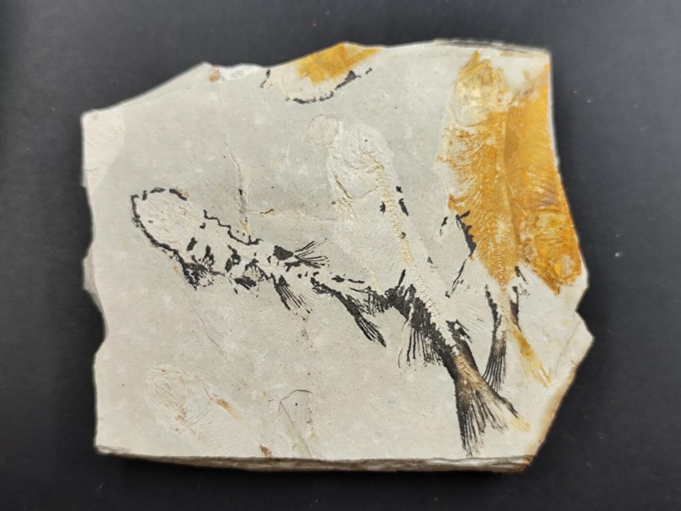 12月13日徽章钱币专场