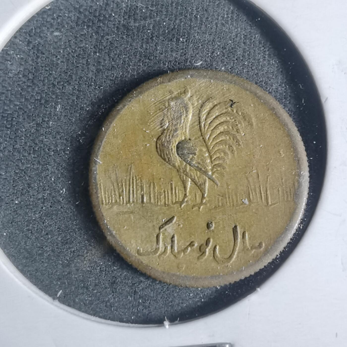 沼泽如烟--第933场 伊朗代币