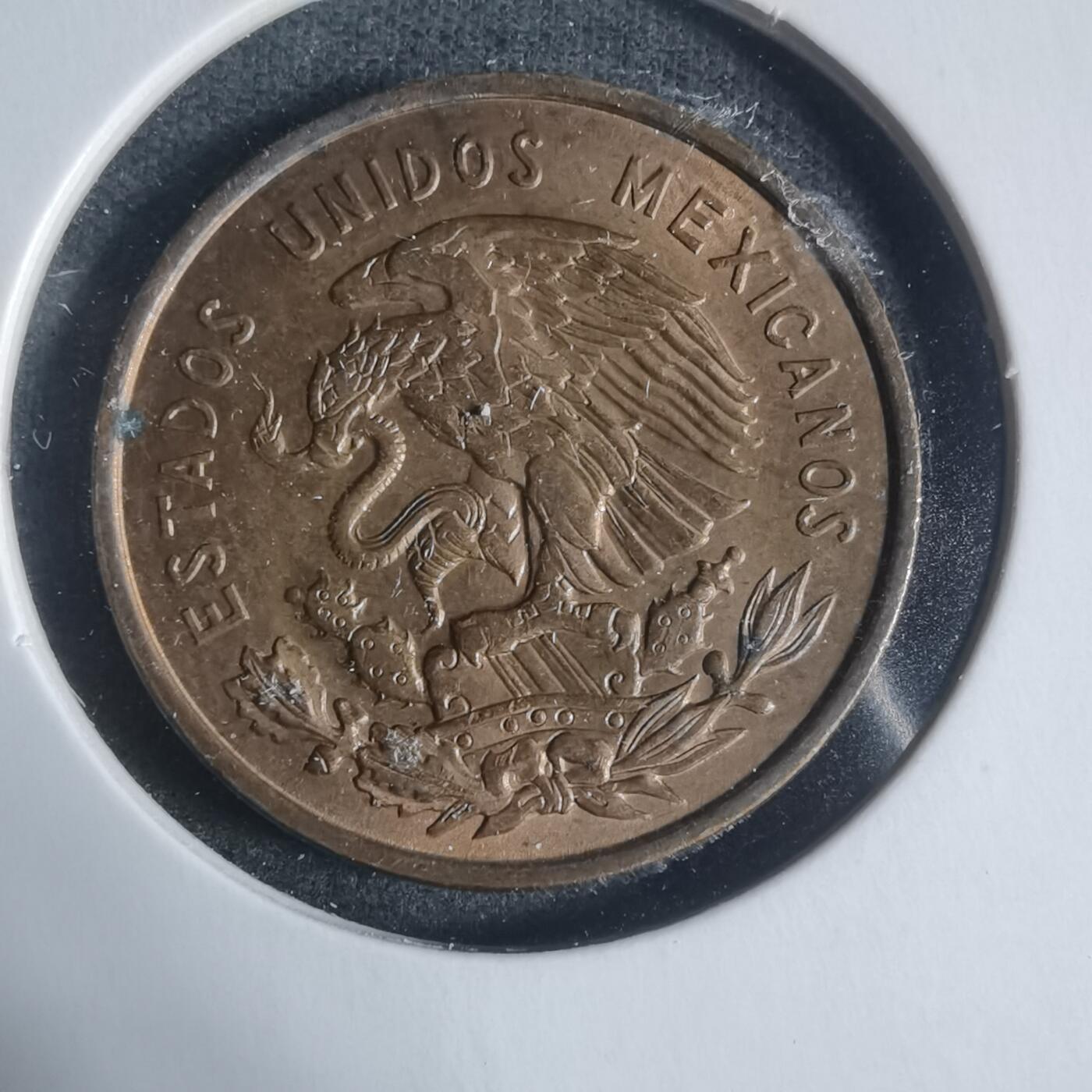 沼泽如烟--第933场 墨西哥1959年十分