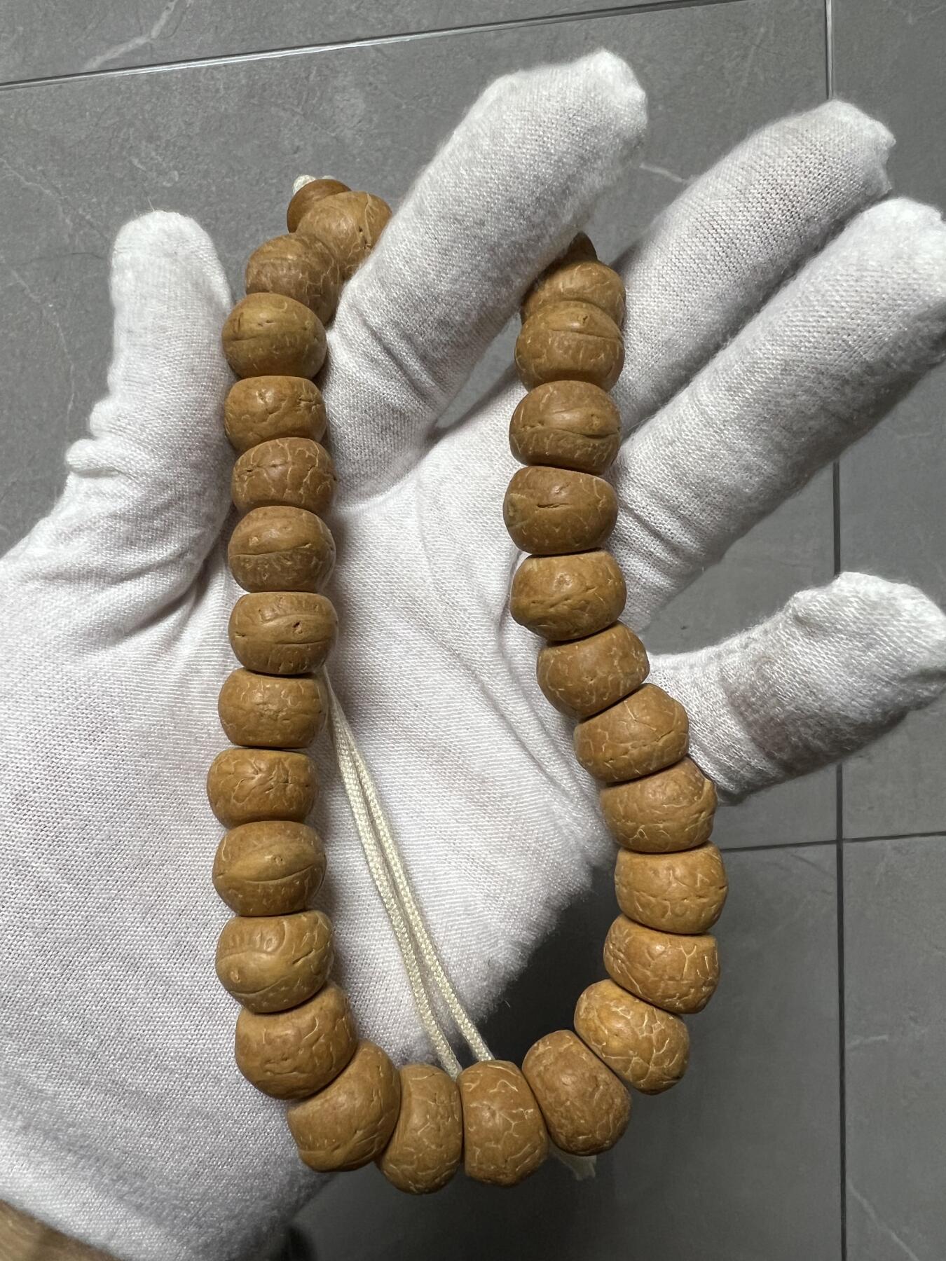 零元拍：W1-8 精工凤眼大肠 14.5 手持