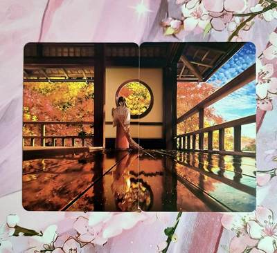 龙虎卡牌-六八场（无佣金，周五结拍，欢迎送拍） - 彩闪2张 精选猫女对卡（卡背二拼图）