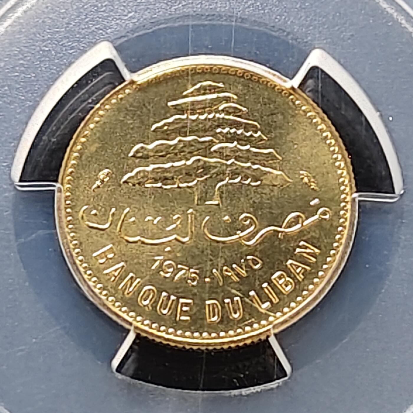 【全场包邮】纯粹捡漏拍487场（免费代拍第24场）