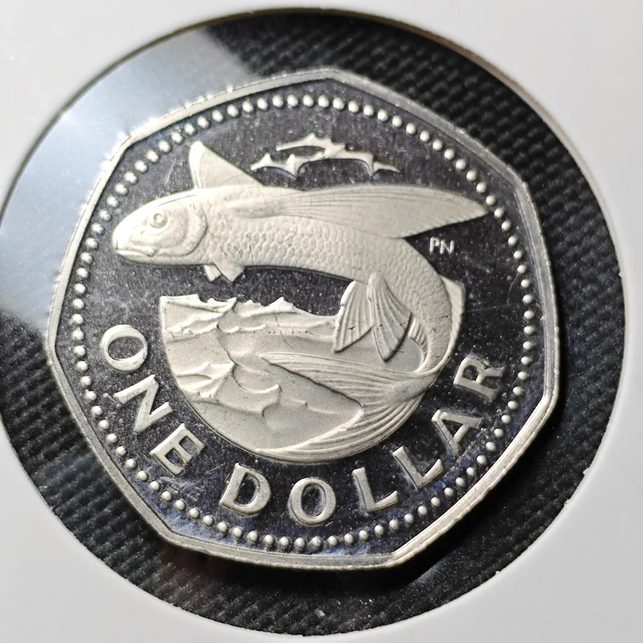 KK钱币收藏小铺 第380期  2月预留时间 周末发货