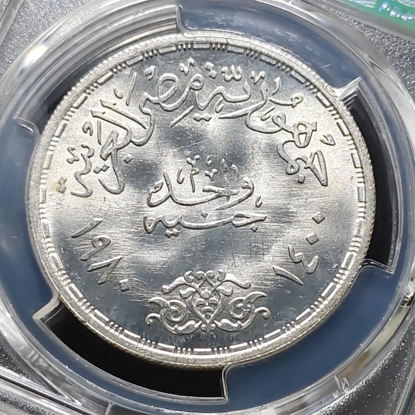 【全场包邮】纯粹捡漏拍487场（免费代拍第24场）