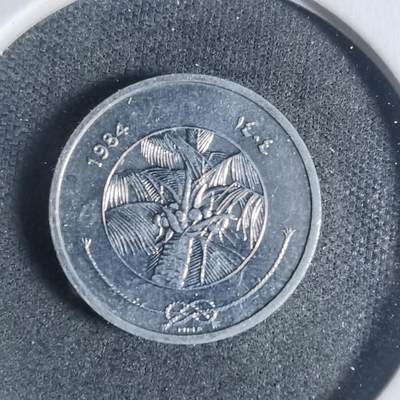 沼泽如烟--第933场 - 马尔代夫1984年1拉雷