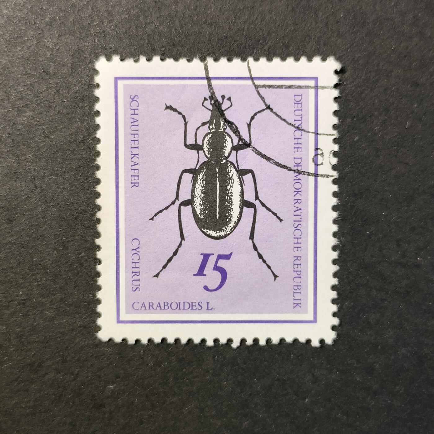 嘉禾收藏    【第415期】            无佣金、可寄存、满30元包邮 邮票一枚