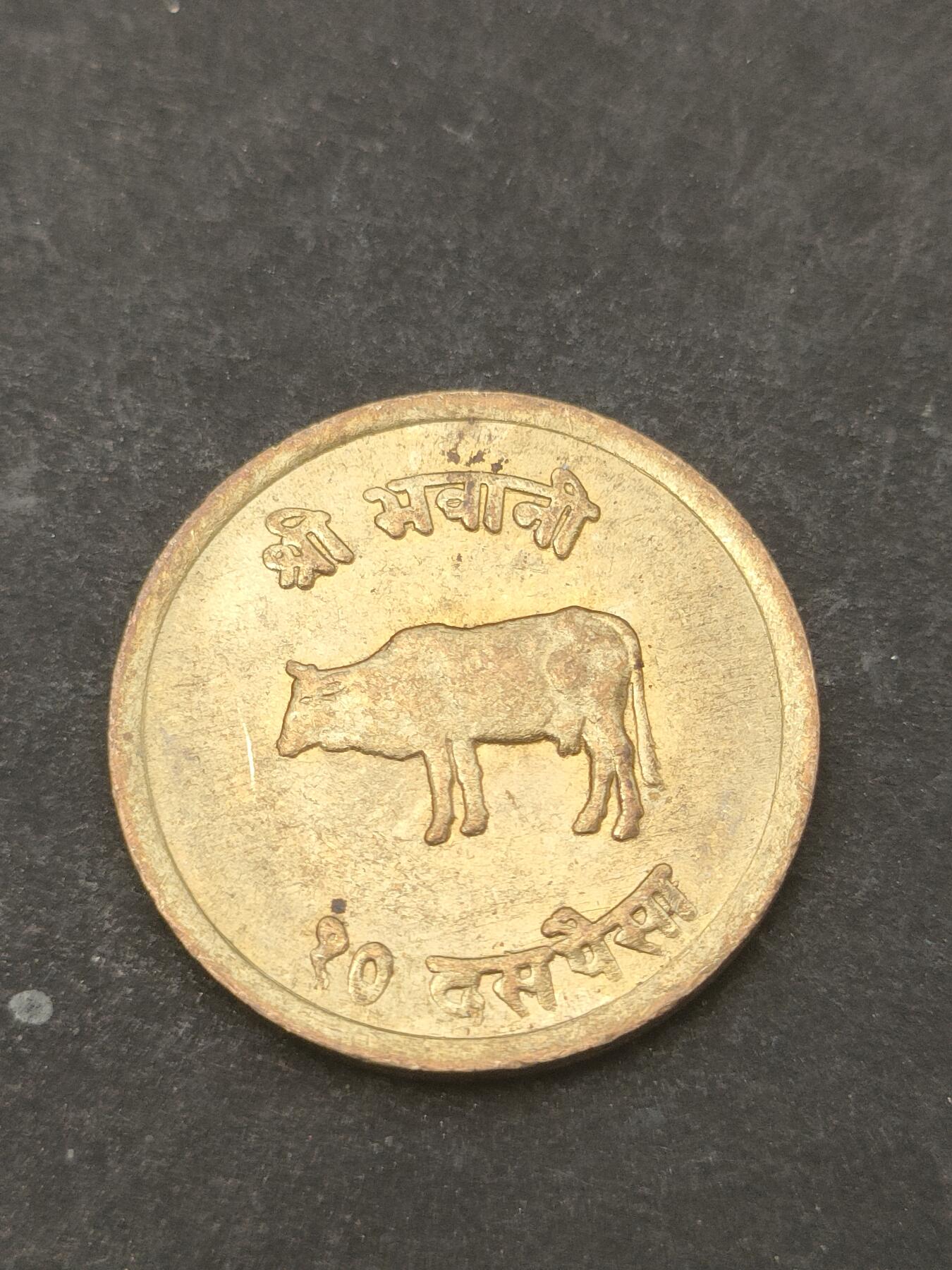 猩哥外币小铺➨【第209场】 牛