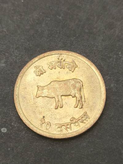 猩哥外币小铺➨【第209场】 - 牛