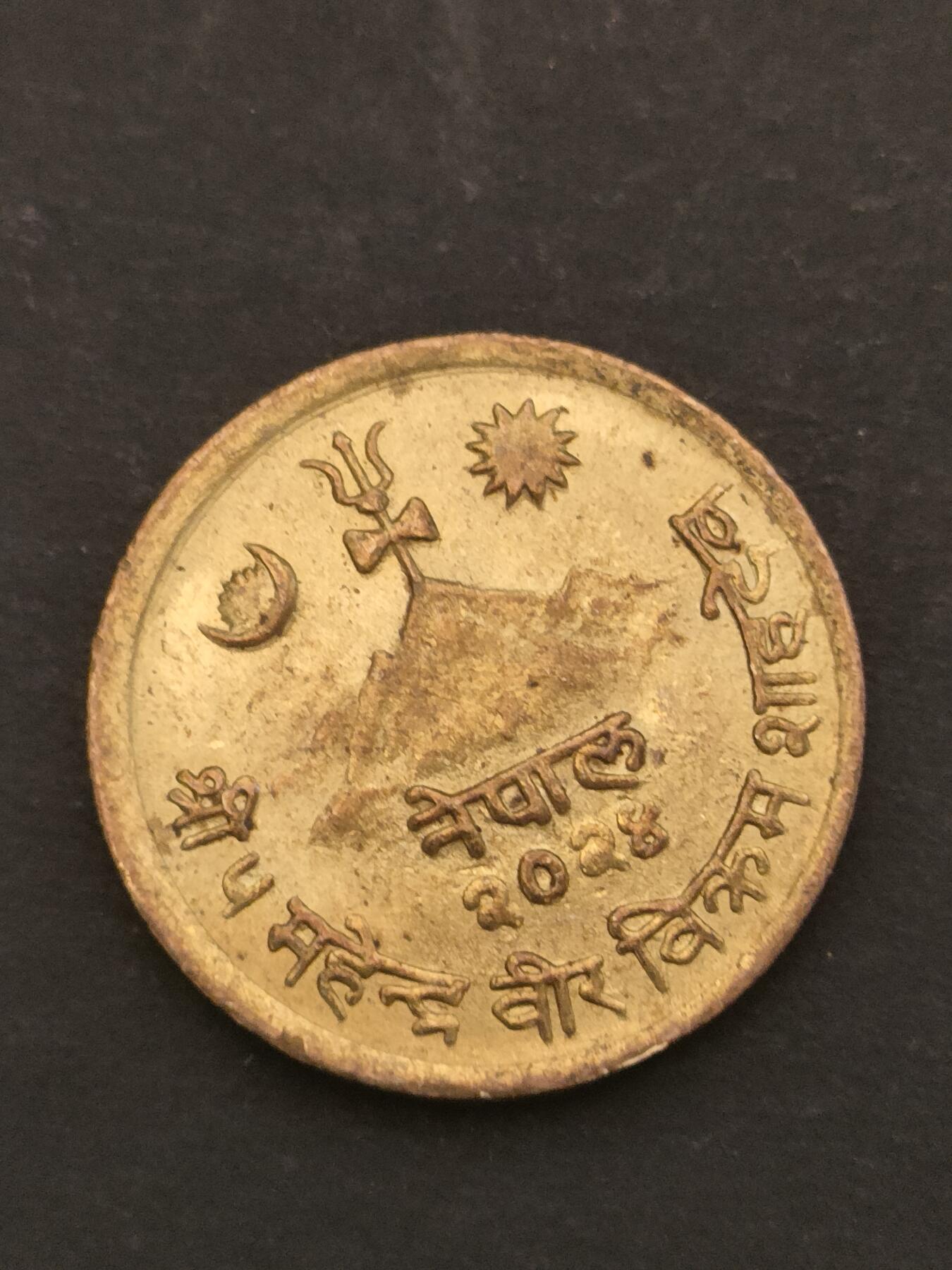 猩哥外币小铺➨【第209场】 牛