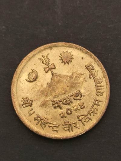 猩哥外币小铺➨【第209场】 - 牛