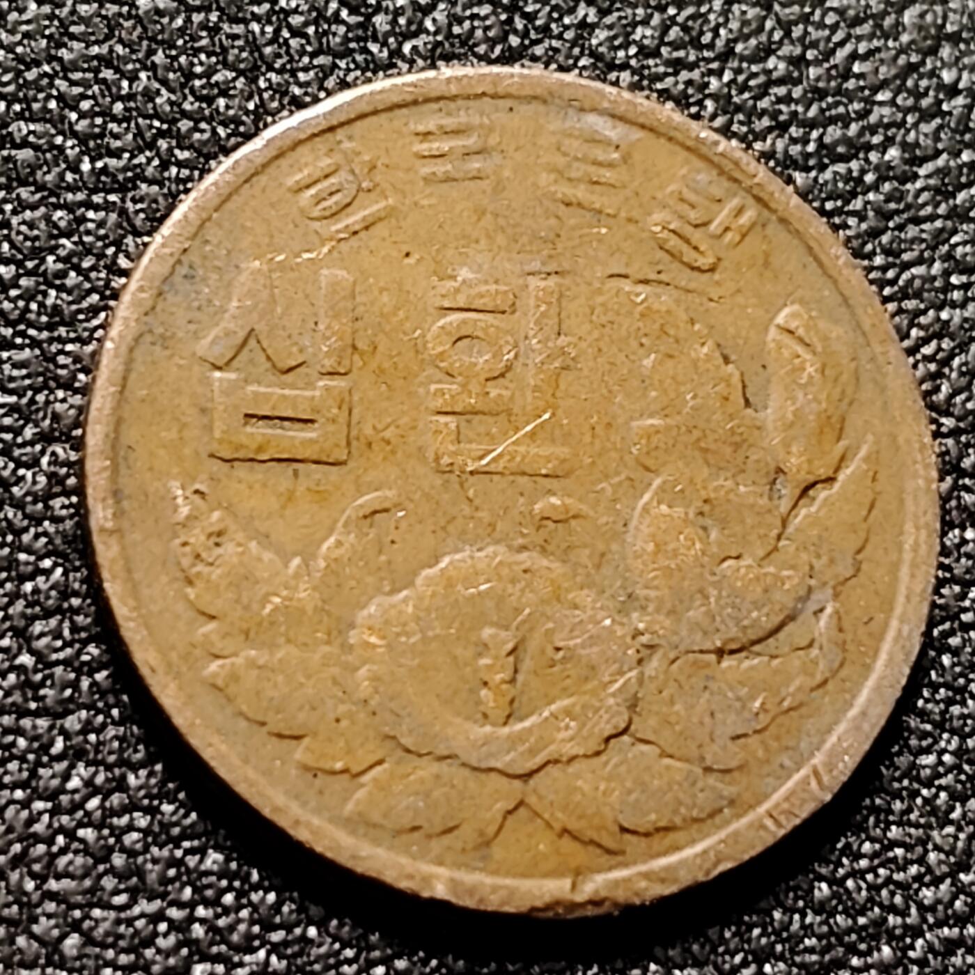 泉币菌-第147场-精品福利场 。