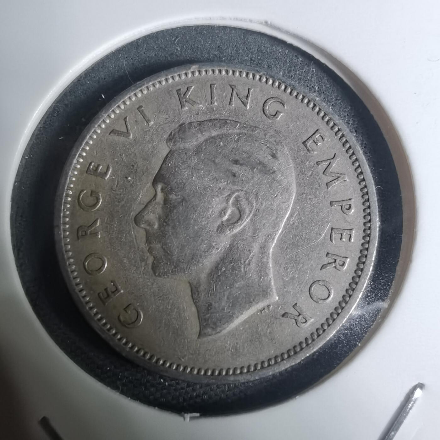 沼泽如烟--第934场