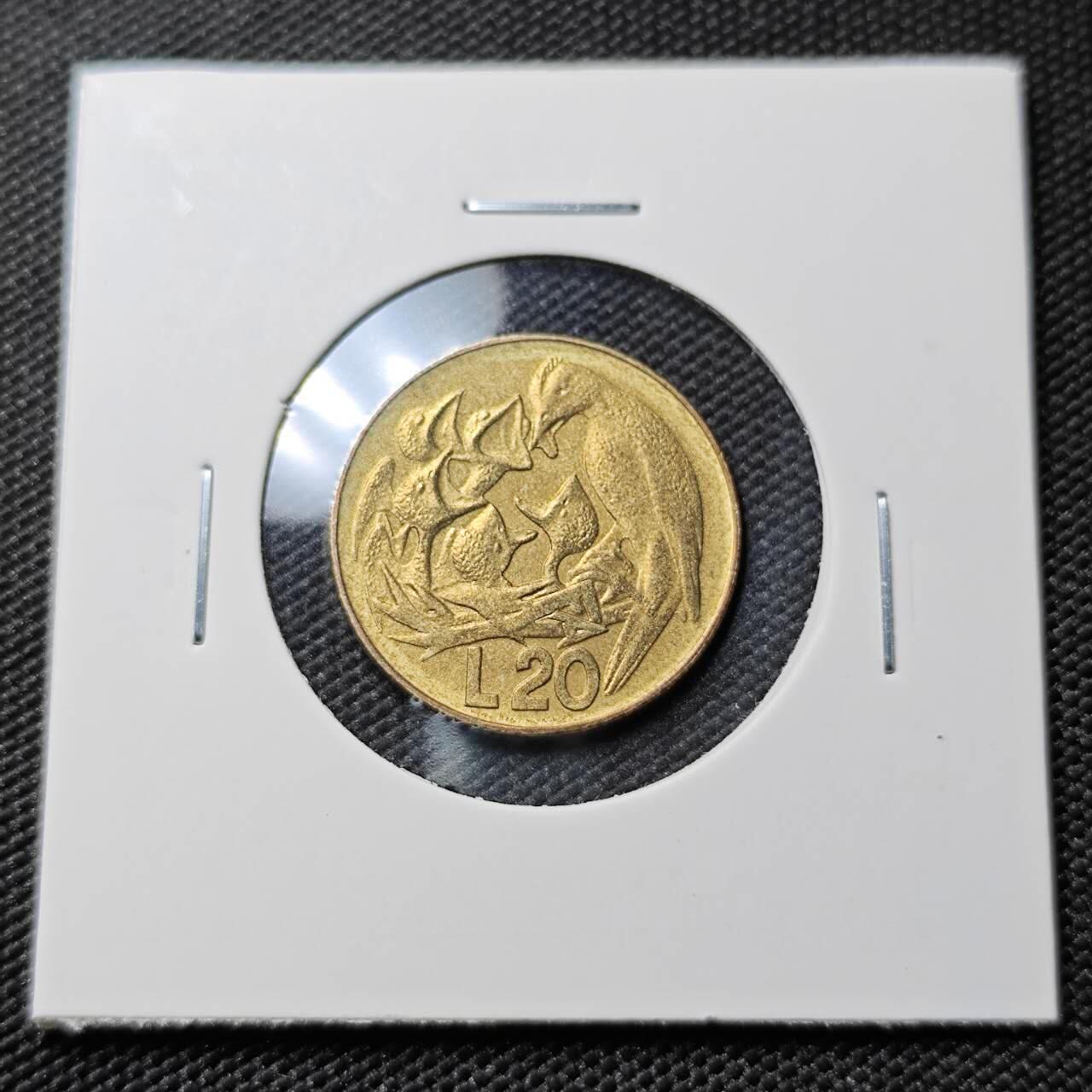 KK钱币收藏小铺 第380期  2月预留时间 周末发货