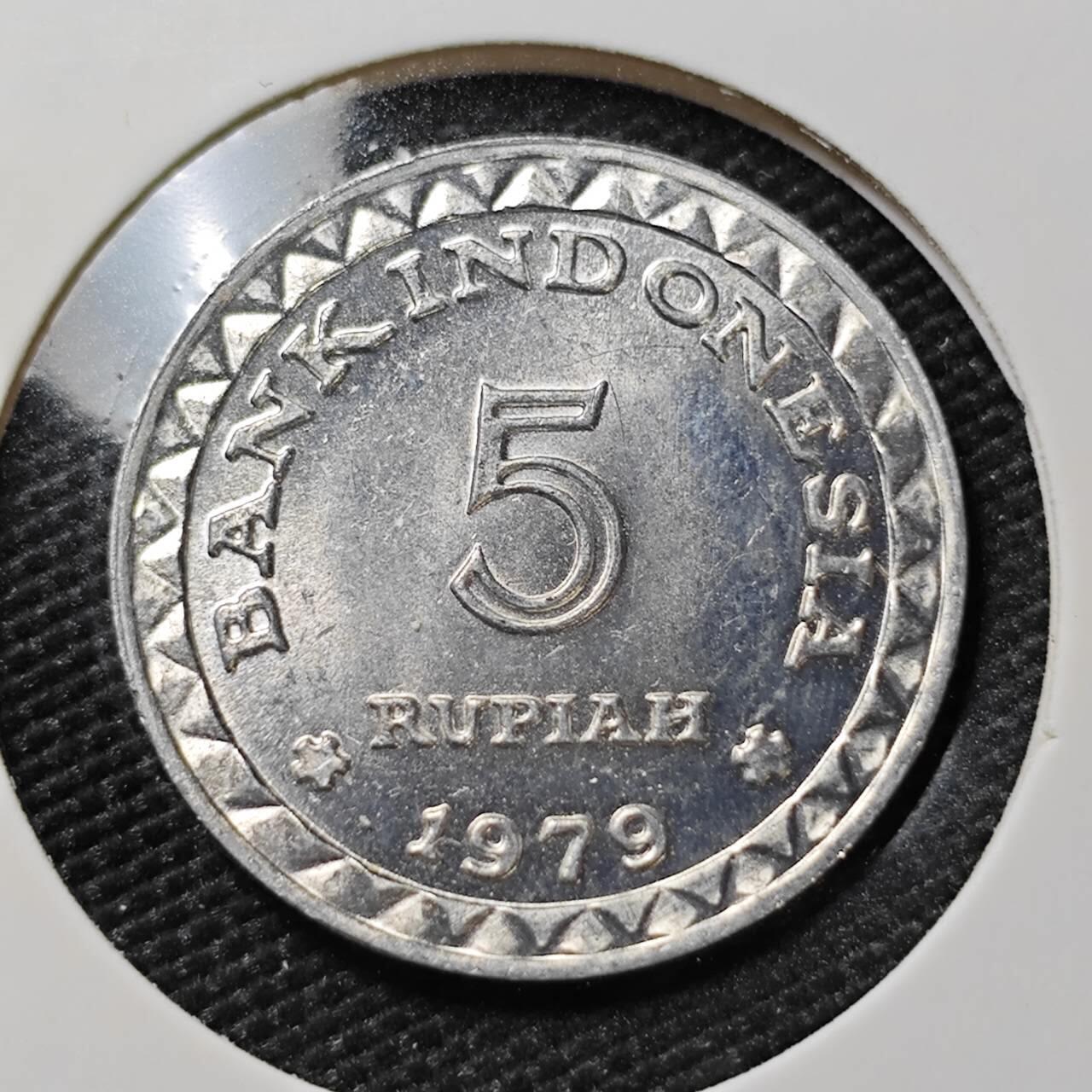 KK钱币收藏小铺 第381期  2月预留时间 周末发货