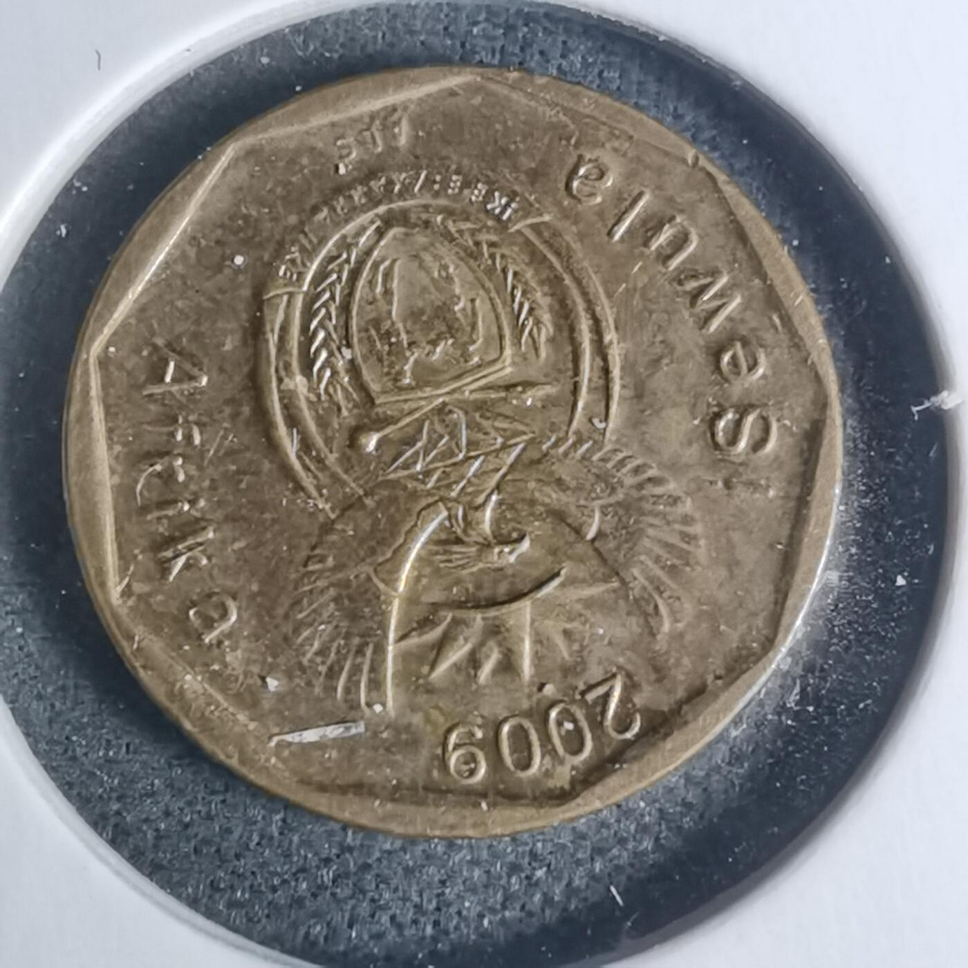 沼泽如烟--第934场 南非2009年十分